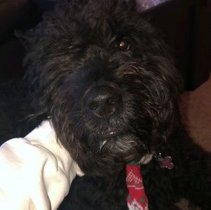 Meet your Posher, Brooke